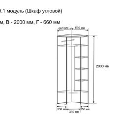 ОЛЬГА 9.1 Шкаф угловой без зеркала | фото 3