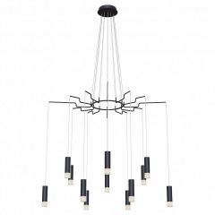 Подвесная люстра Maytoni Davida MOD035PL-12B | фото 2