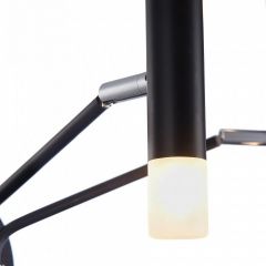 Бра Maytoni Vigo MOD620WL-04B | фото 7