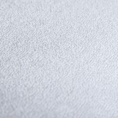 PROxSON Защитный чехол Aqua Save S (Ткань влагостойкая Terry Cloth) 80x195 | фото 4