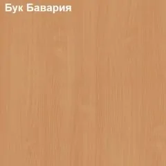 Шкаф для одежды малый Логика Л-8.3 | фото 2