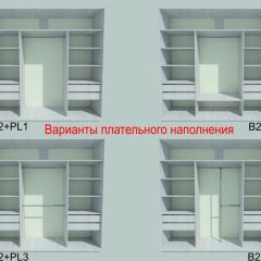Шкаф-купе 1950 серии SILVER S7+S1+S7Z B22+PL1 (по 2 ящика лев/прав+1штанга) профиль «Серебро» | фото 6