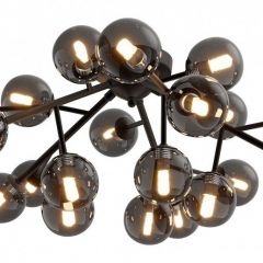 Потолочная люстра Maytoni Dallas MOD545CL-20B | фото 2