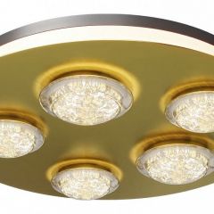 Потолочная люстра Maytoni Pharao MOD361CL-L58BS3K | фото 2