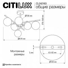 Люстра на штанге Citilux RONNY CL242163 | фото 12